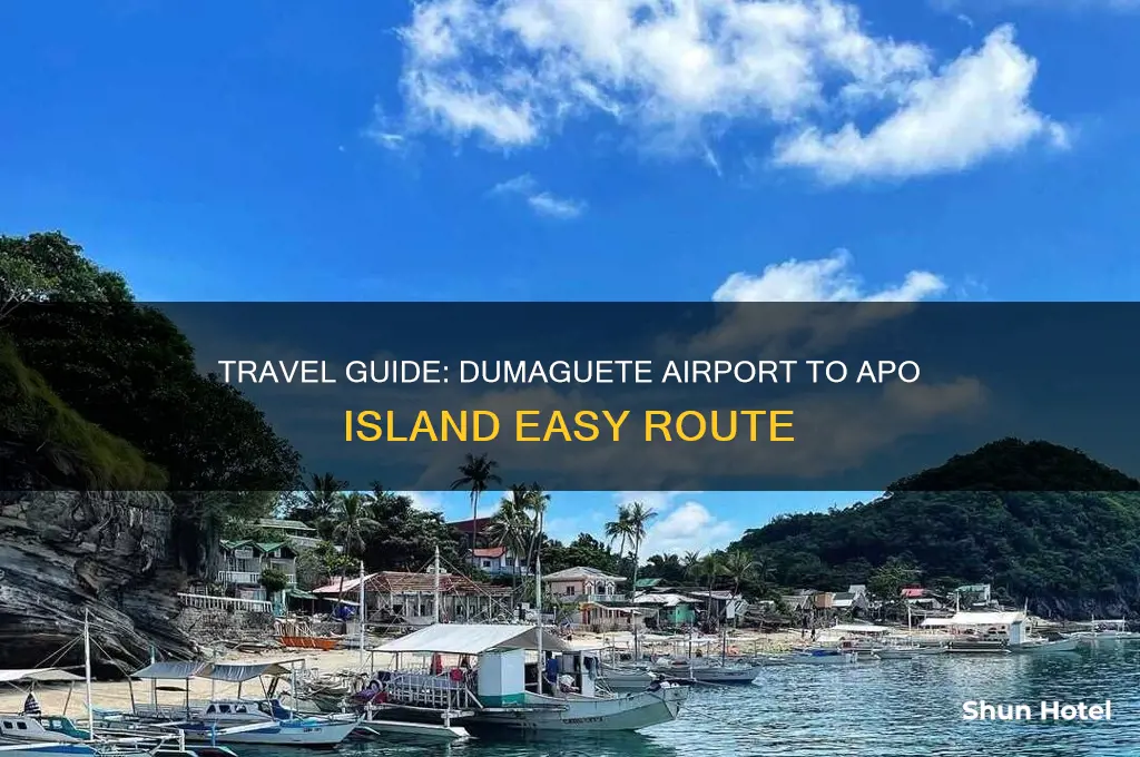 how to get to apo island from dumaguete airport
