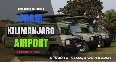 Traveling from Kilimanjaro Airport to Arusha: Easy Transport Guide