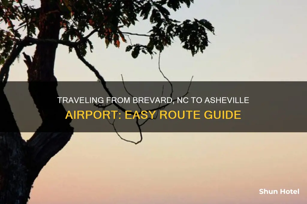 how to get to ashville airport from brevard nc