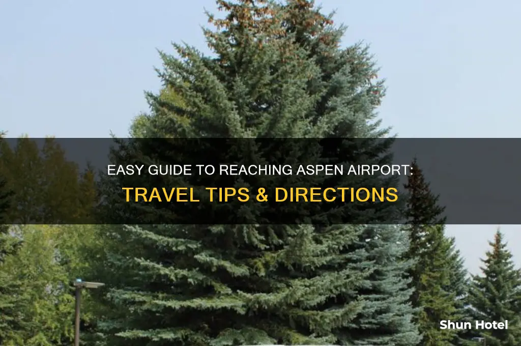 how to get to aspen airport