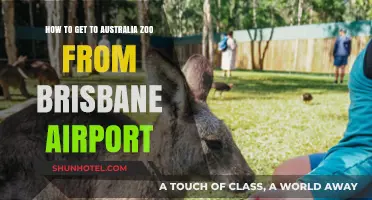 Brisbane Airport to Australia Zoo: Easy Travel Guide & Tips
