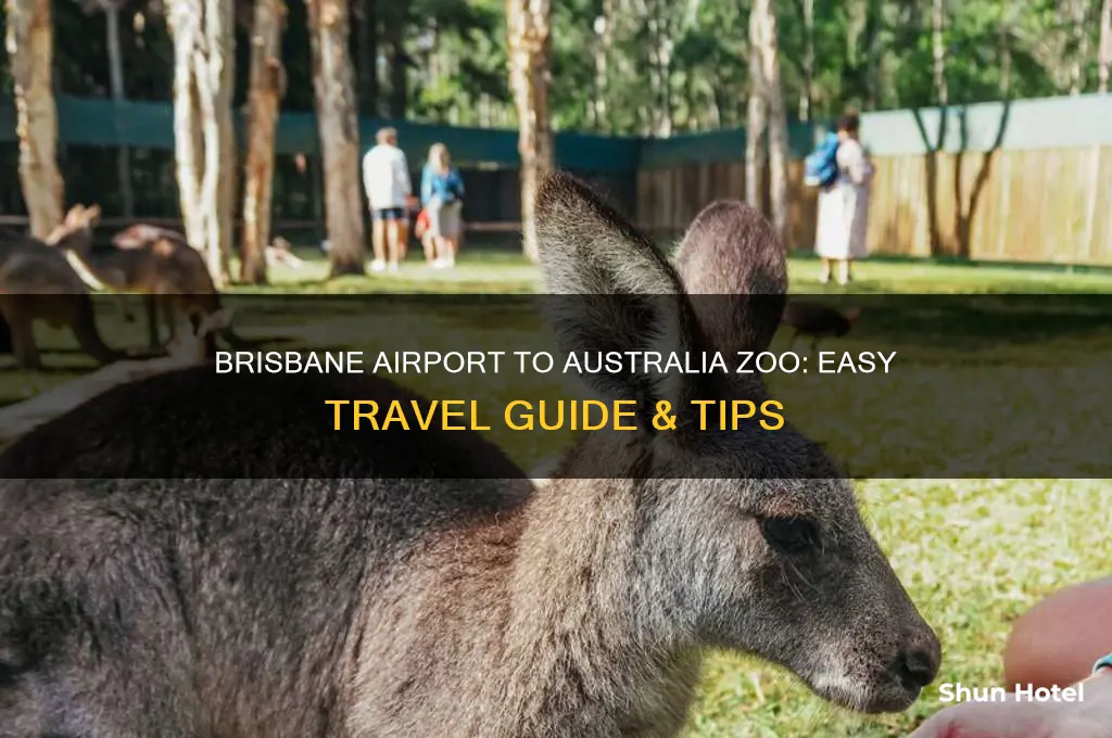how to get to australia zoo from brisbane airport