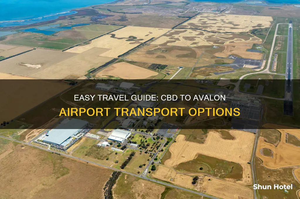 how to get to avalon airport from cbd