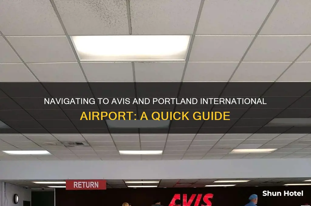 how to get to avis and portland international airport oregon