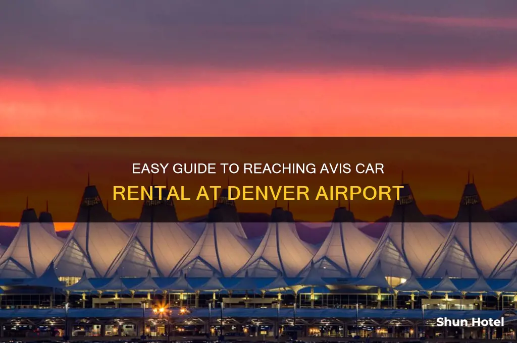 how to get to avis car rental at denver airport