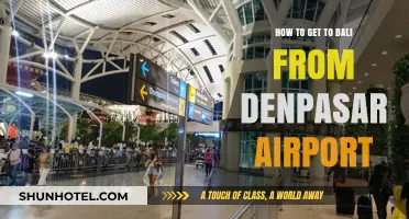 From Denpasar Airport to Bali: A Quick and Easy Travel Guide