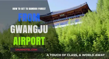 Travel Guide: Gwangju Airport to Bamboo Forest Transportation Tips