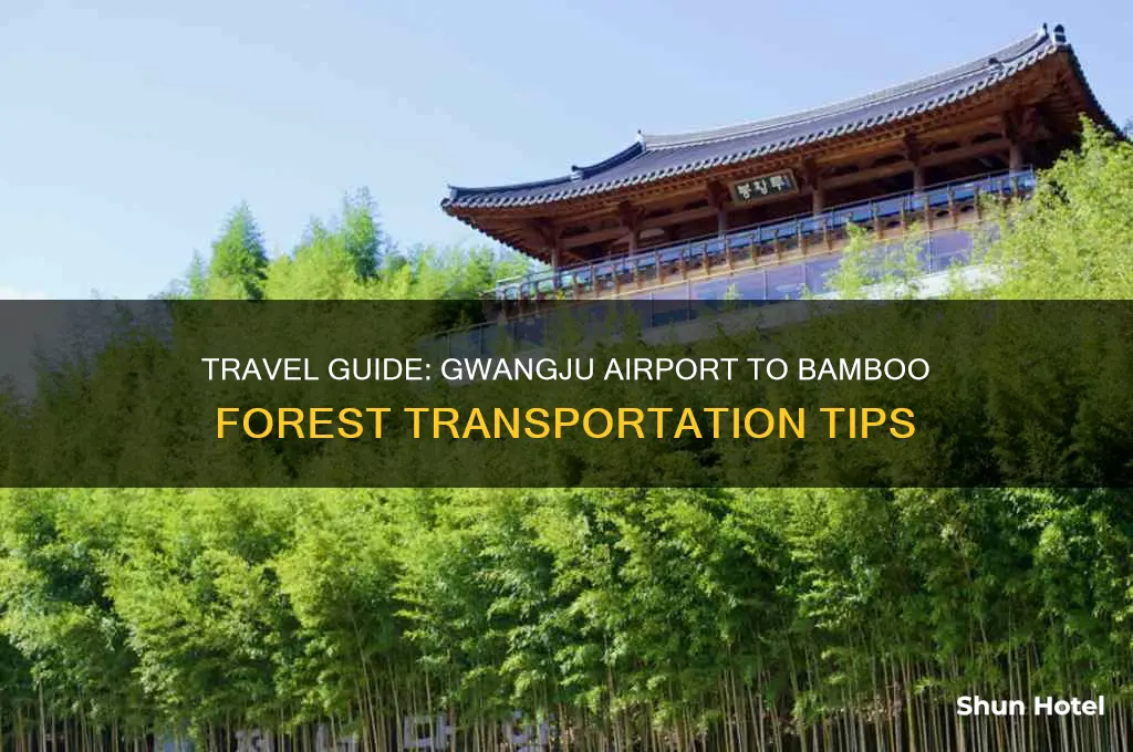 how to get to bamboo forest from gwangju airport
