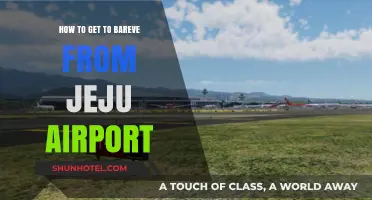 Travel Guide: Jeju Airport to Bareve – Easy Transportation Tips