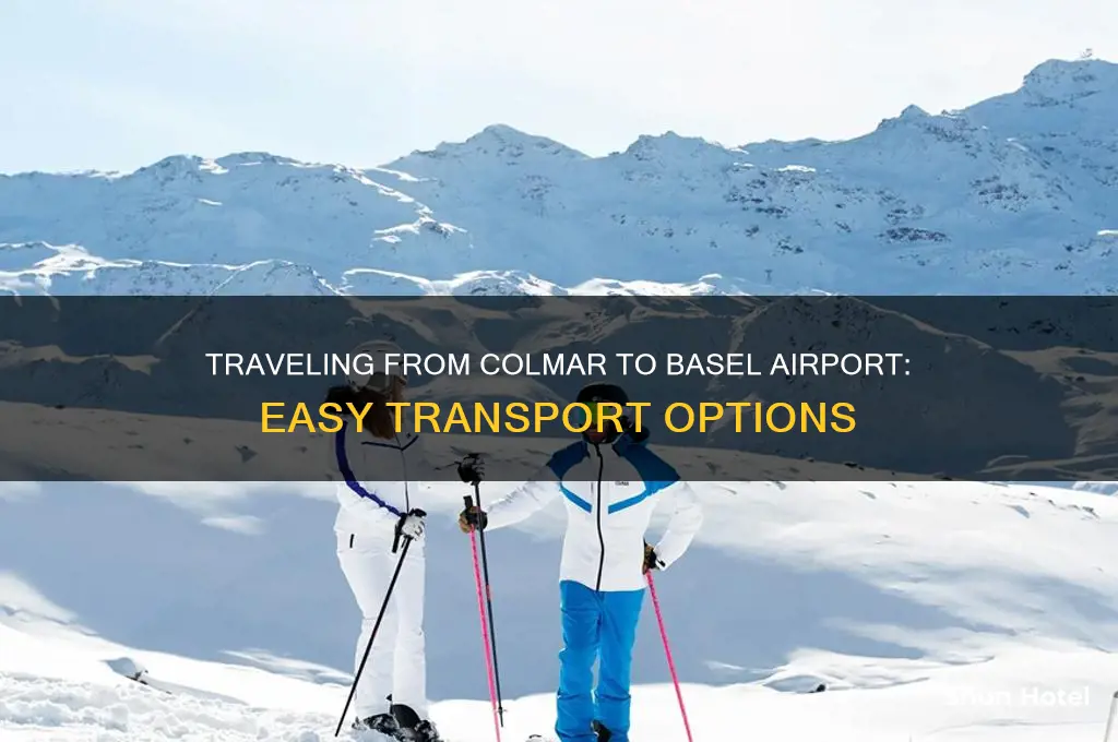 how to get to basel airport from colmar