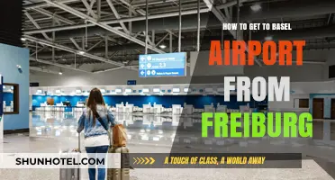 Travel Guide: Freiburg to Basel Airport Transport Options & Tips