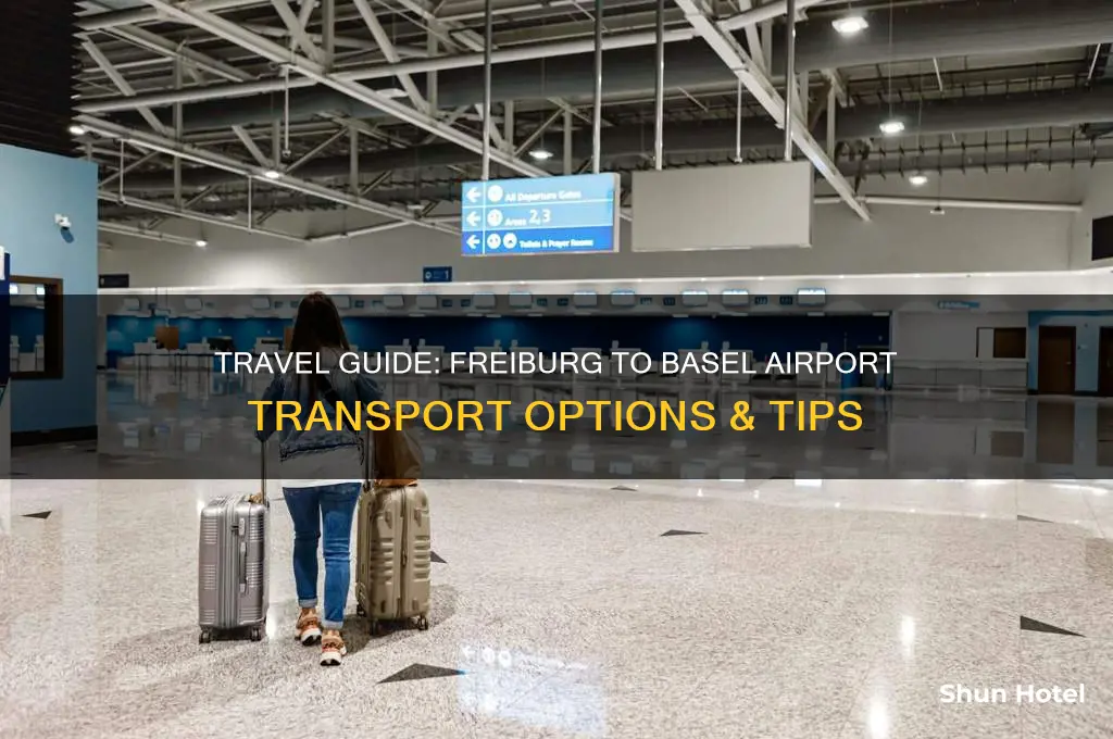 how to get to basel airport from freiburg