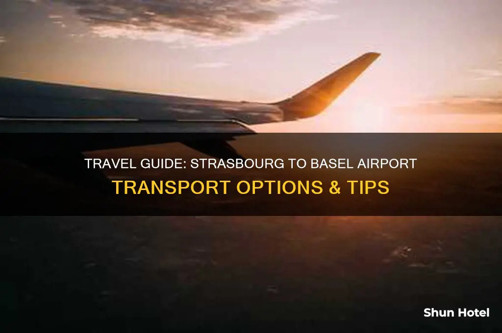 how to get to basel airport from strasbourg