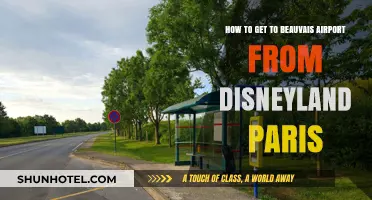Travel Guide: Disneyland Paris to Beauvais Airport Transport Options