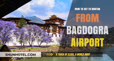 Travel Guide: Bagdogra Airport to Bhutan – Easy Route Tips