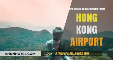 Travel Guide: Hong Kong Airport to Big Buddha – Easy Steps