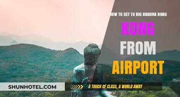 Travel Guide: Airport to Hong Kong's Big Buddha - Easy Route