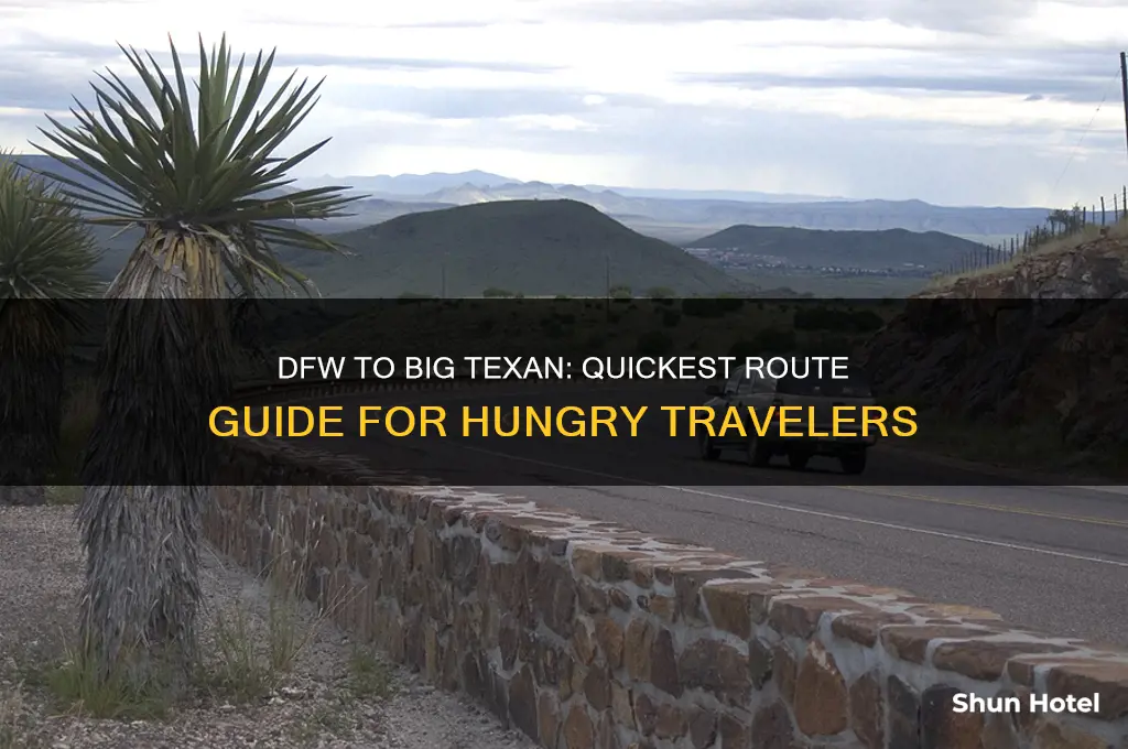 how to get to big texan from dfw airport