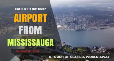 Traveling from Mississauga to Billy Bishop Airport: Easy Transit Tips