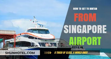 Travel Guide: Singapore Airport to Bintan Island – Easy Steps
