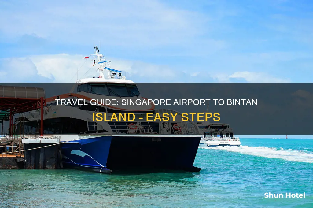 how to get to bintan from singapore airport