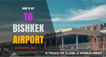 Easy Guide to Reaching Bishkek Airport: Tips and Transport Options
