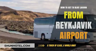 Travel Guide: Reykjavik Airport to Blue Lagoon Easy Transport Tips