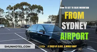 Sydney Airport to Blue Mountains: Easy Transport Guide for Travelers