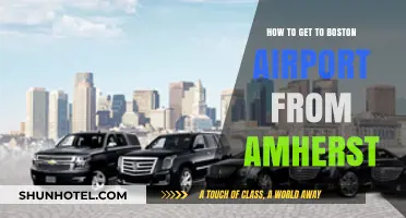 Traveling from Amherst to Boston Airport: Easy Transportation Options