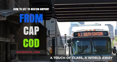 Traveling from Cape Cod to Boston Airport: Easy Transport Options
