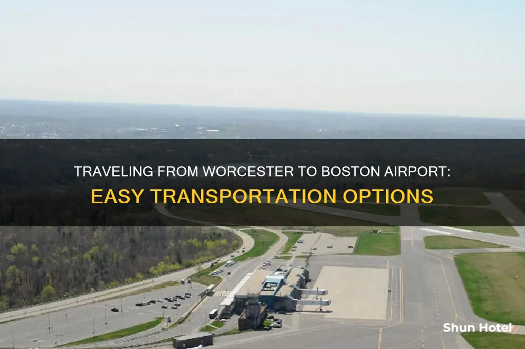 how to get to boston airport from worcester