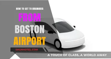 Boston Airport to Brandeis: Quick & Easy Travel Guide