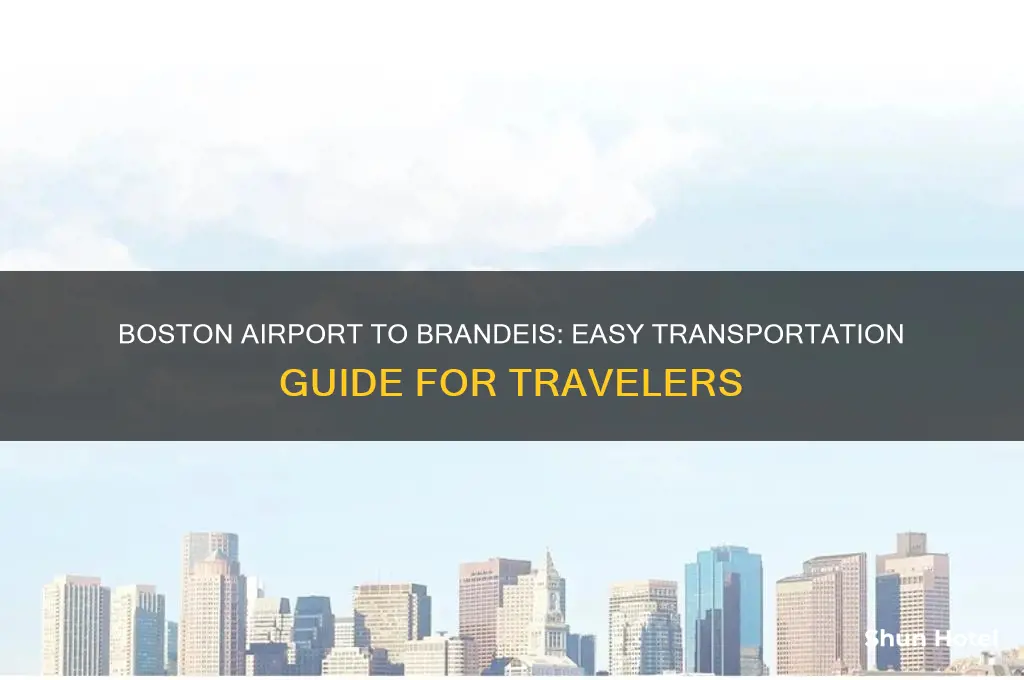 how to get to brandeis from boston airport
