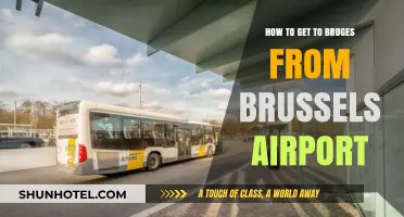 Travel Guide: Brussels Airport to Bruges - Easy Transport Options