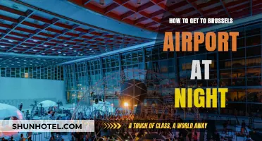 Navigating to Brussels Airport After Dark: A Nighttime Travel Guide