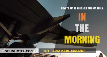 Early Morning Travel Tips: Reaching Brussels Airport Stress-Free