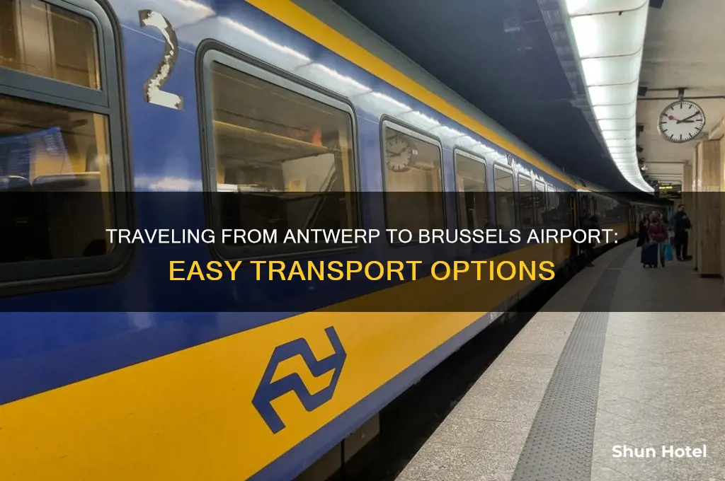 how to get to brussels airport from antwerp