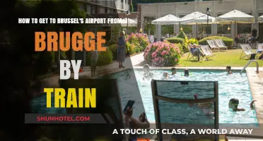 Traveling from Brugge to Brussels Airport by Train: A Quick Guide