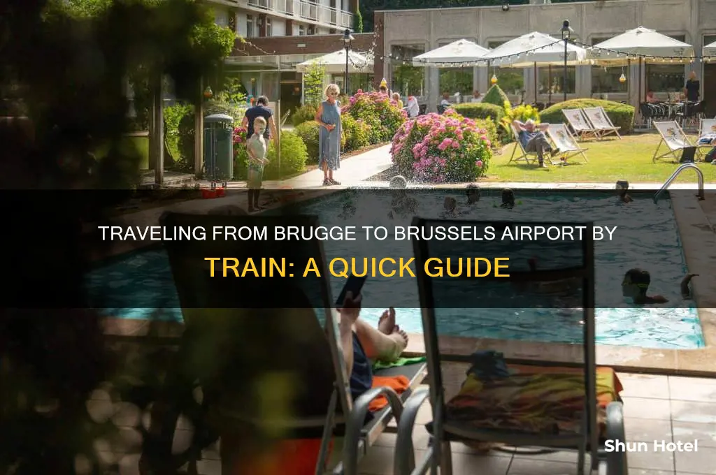 how to get to brussel