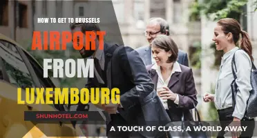Traveling from Luxembourg to Brussels Airport: Easy Transport Options