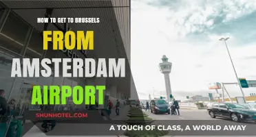 Travel Guide: Amsterdam Airport to Brussels by Train or Bus