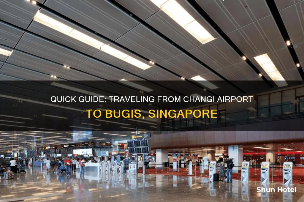how to get to bugis from changi airport