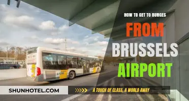 Brussels Airport to Bruges: Easy Travel Guide & Transport Tips
