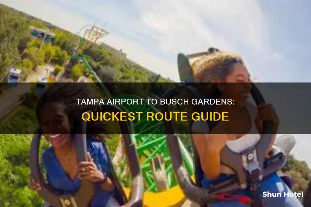 how to get to busch gardens from tampa airport