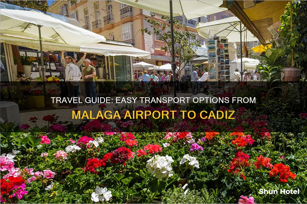 how to get to cadiz from malaga airport