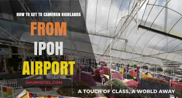 Travel Guide: Cameron Highlands from Ipoh Airport - Easy Route Tips