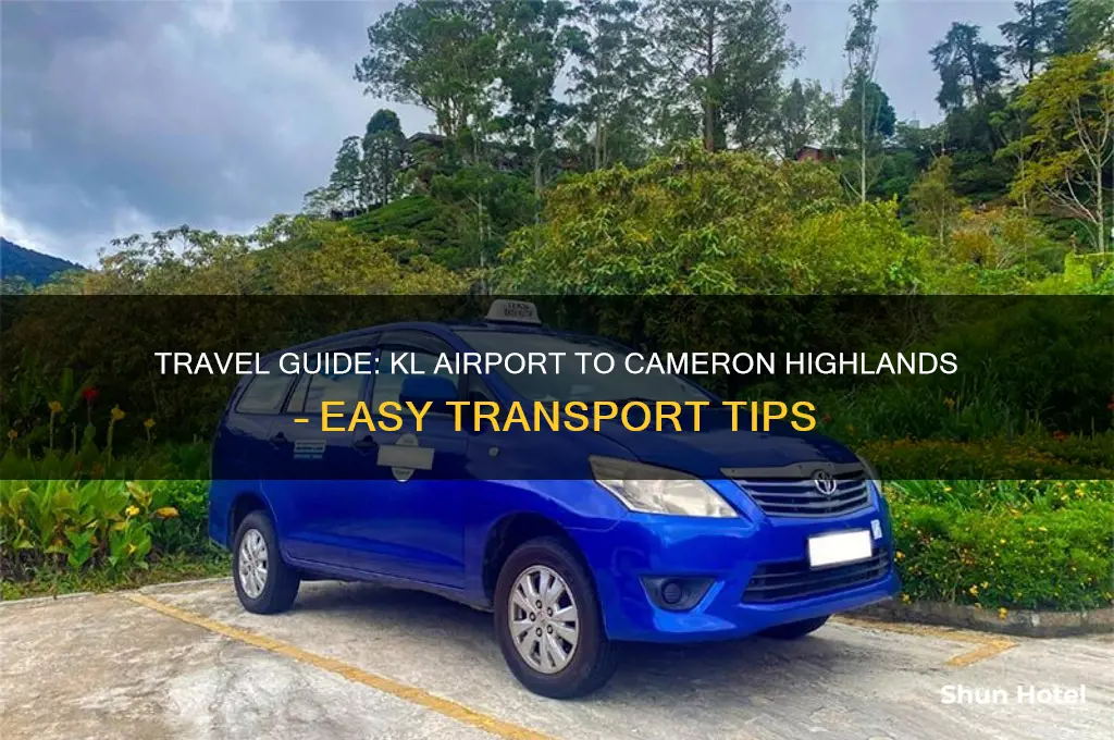 how to get to cameron highlands from kl airport