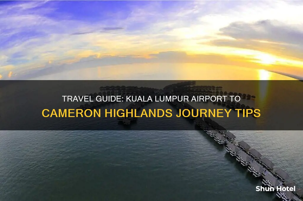 how to get to cameron highlands from kuala lumpur airport