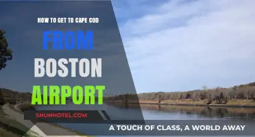 Traveling to Cape Cod: Easy Boston Airport to Cape Route Guide