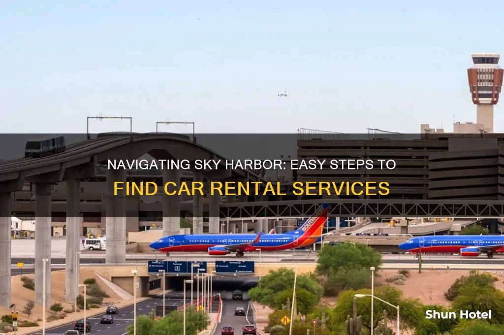 how to get to car rental at sky harbor airport